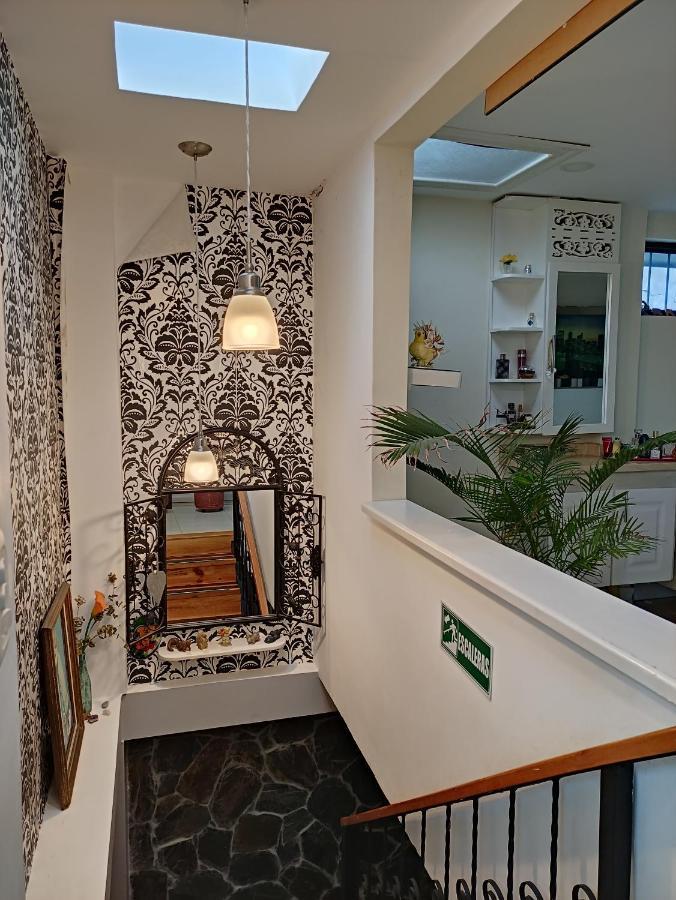 Los Andes Hostal Filandia Exteriör bild